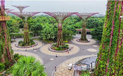 ▷ Singapur, verde y moderna. ¿Qué visitar sin gastar dinero?