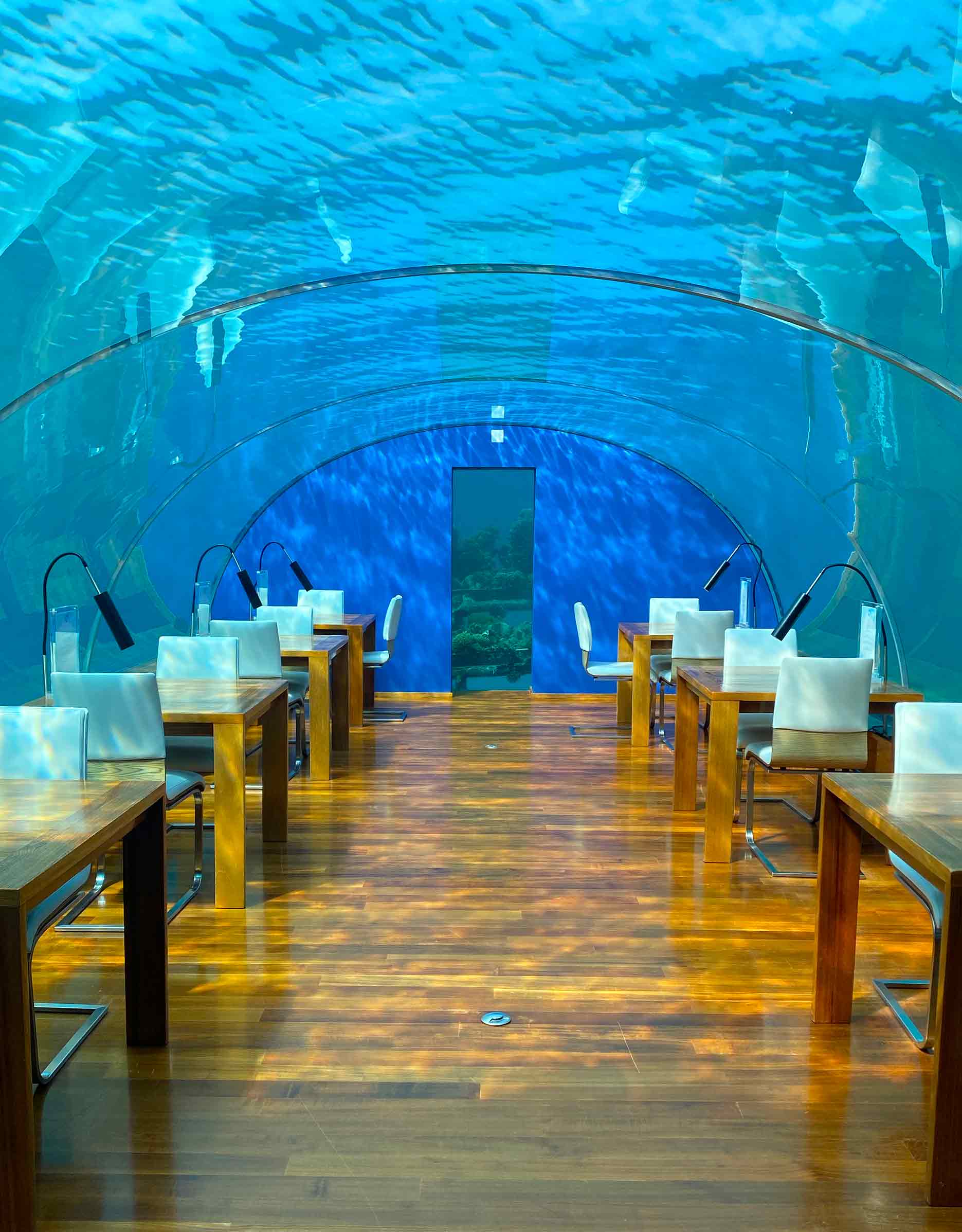 Ithaa, el primer restaurante submarino del mundo
