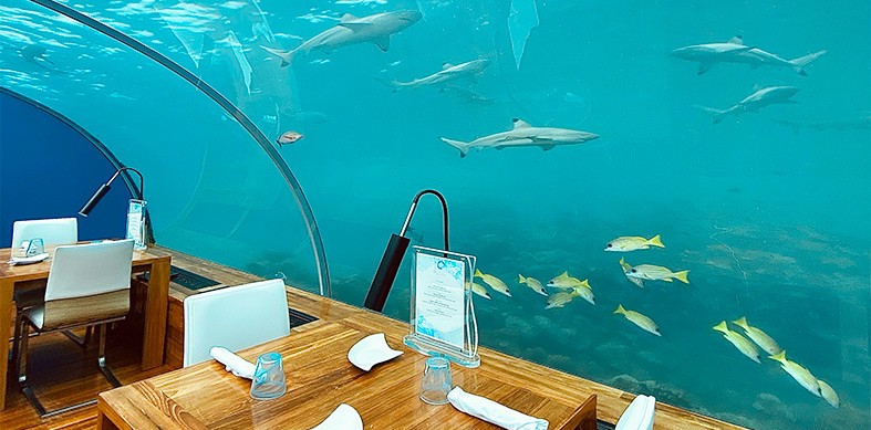 Ithaa, el primer restaurante submarino del mundo