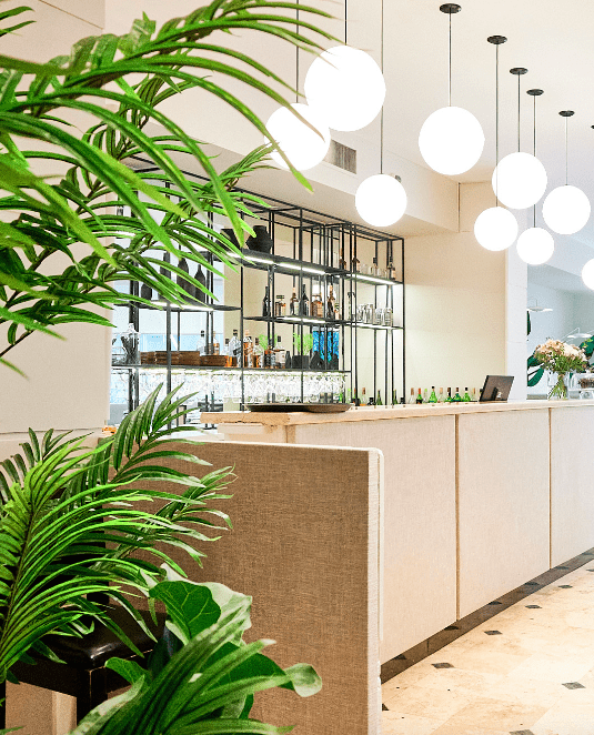 Plaza Real Suites Hotel 